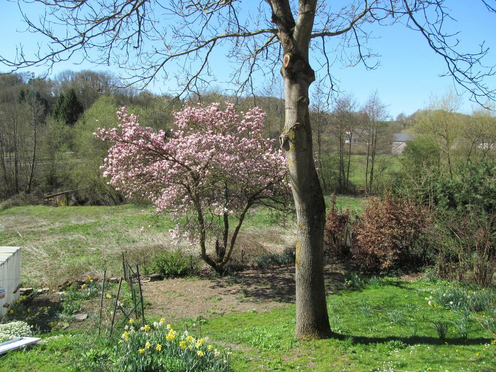 Vila Les Chevrefeuilles Walcourt Pokoj fotografie
